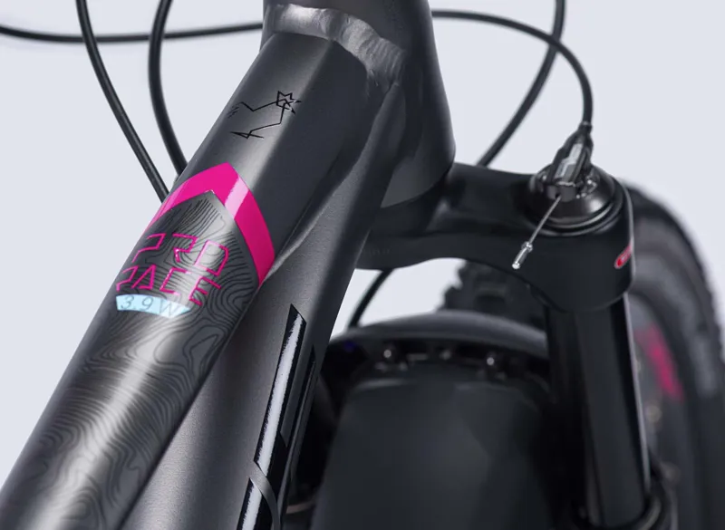 2021 Lapierre Prorace 3.9 Womens Hardtail Mountain Bike in Grey -7